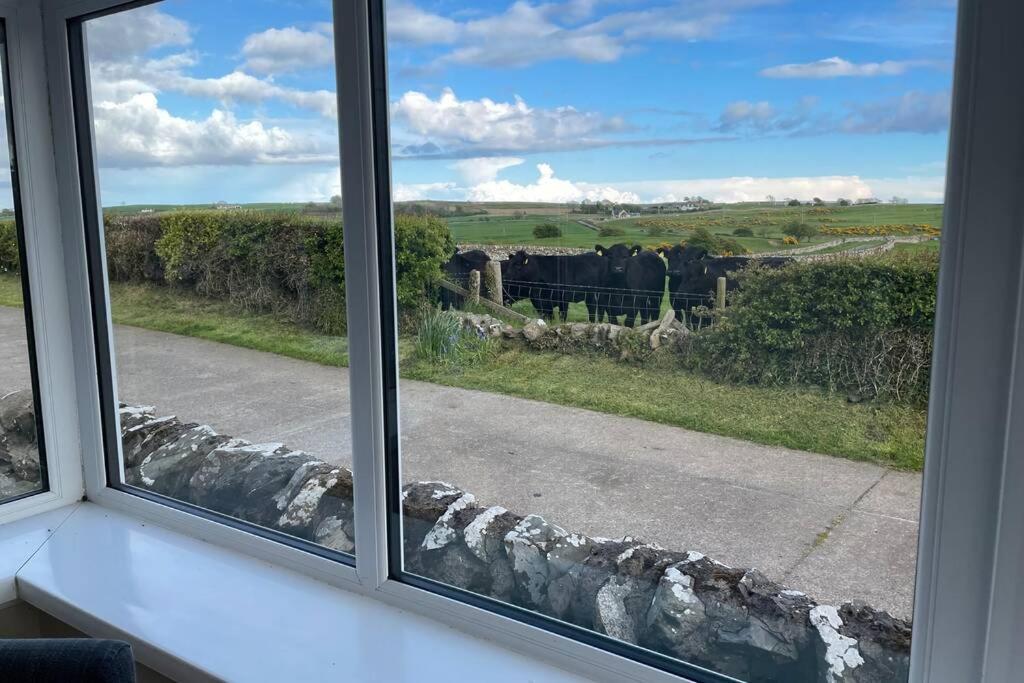 Galloway Farmstay Broughton Newton Stewart Ngoại thất bức ảnh
